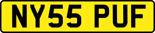 NY55PUF