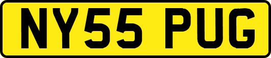 NY55PUG