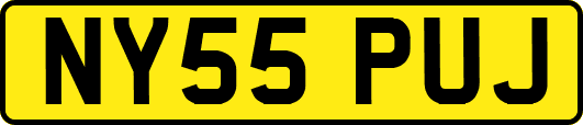 NY55PUJ