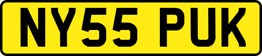 NY55PUK