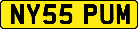 NY55PUM