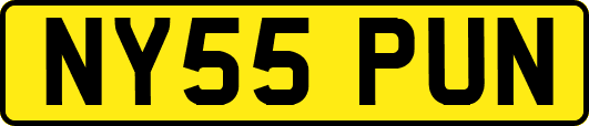 NY55PUN