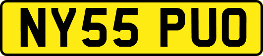 NY55PUO