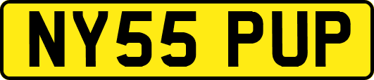 NY55PUP