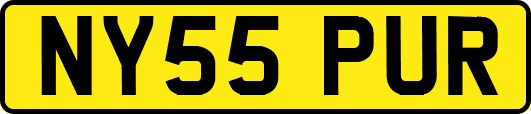 NY55PUR