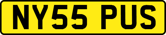 NY55PUS