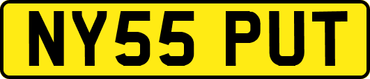 NY55PUT