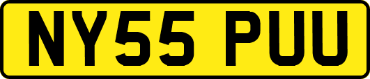 NY55PUU