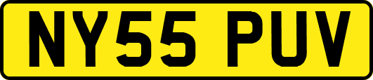 NY55PUV