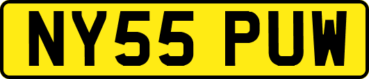 NY55PUW