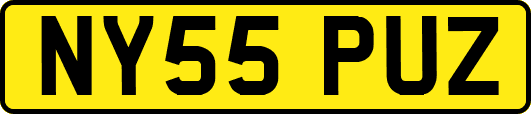NY55PUZ