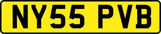 NY55PVB
