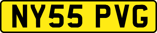 NY55PVG