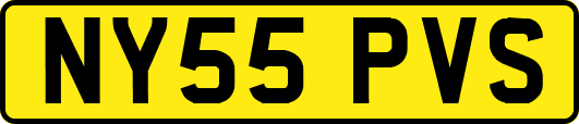 NY55PVS