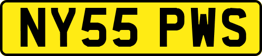 NY55PWS