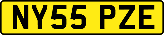 NY55PZE