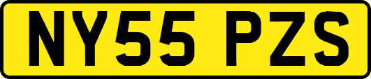 NY55PZS