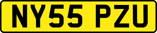 NY55PZU