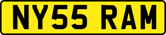 NY55RAM