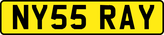 NY55RAY
