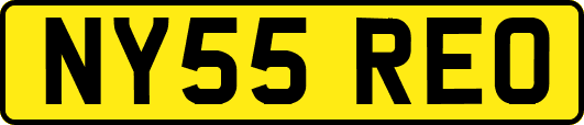 NY55REO