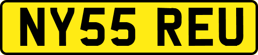 NY55REU