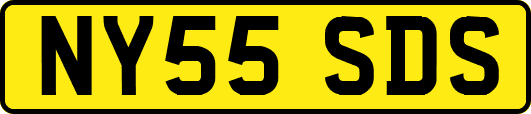 NY55SDS