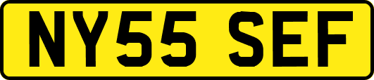 NY55SEF