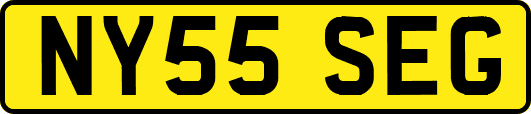 NY55SEG