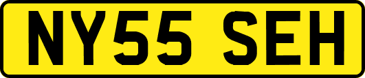 NY55SEH