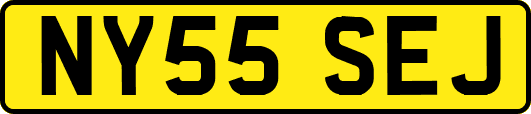 NY55SEJ