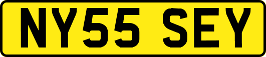 NY55SEY