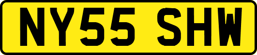 NY55SHW
