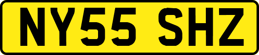 NY55SHZ