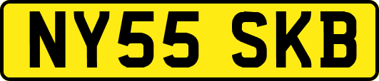 NY55SKB
