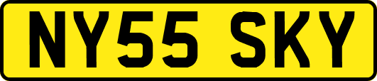 NY55SKY