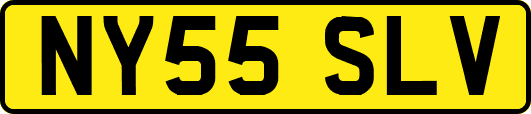 NY55SLV