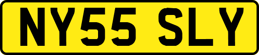 NY55SLY