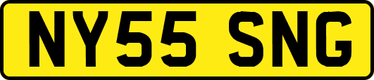 NY55SNG