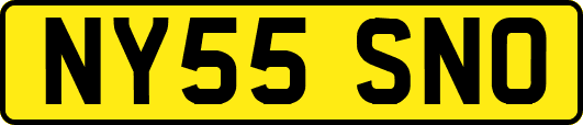 NY55SNO