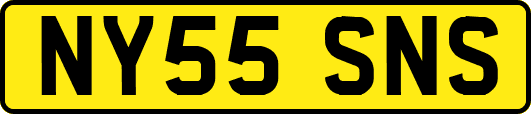 NY55SNS