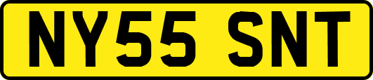 NY55SNT