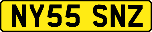 NY55SNZ
