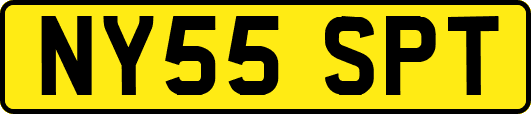 NY55SPT