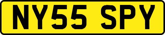 NY55SPY