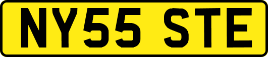 NY55STE