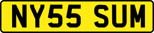 NY55SUM