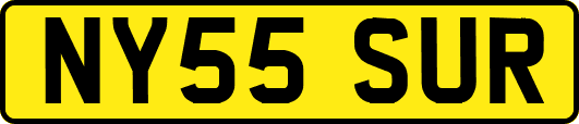 NY55SUR