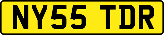 NY55TDR