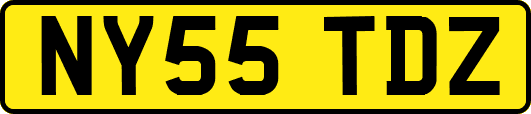 NY55TDZ